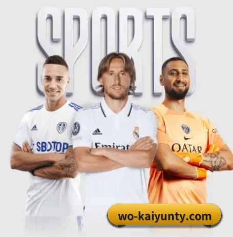 我们在做什么（kaiyun.com）